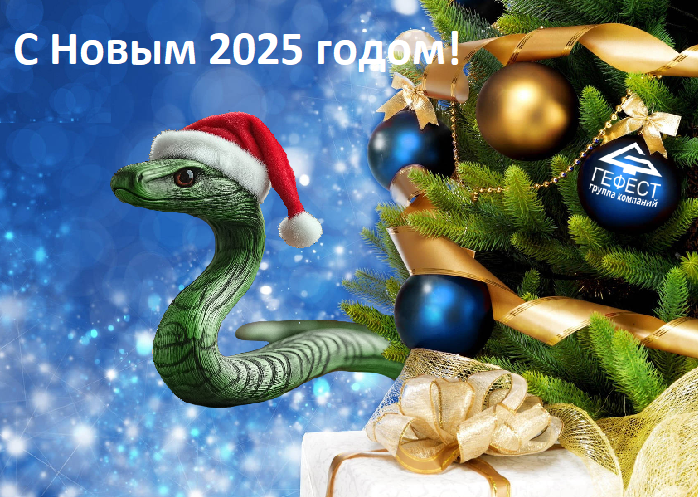 Поздравляем с  Новым 2025 годом!