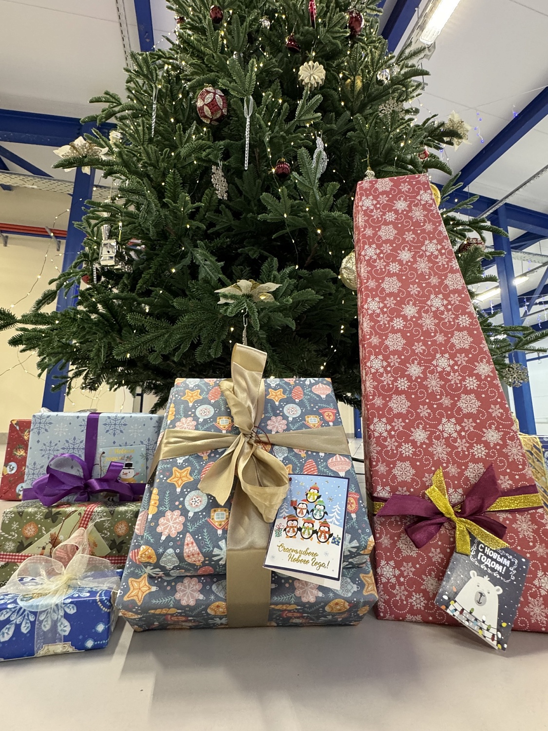 Ёлка желаний Тосненского района